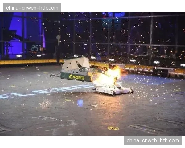 数字之外:从现场观众反应看赛事举办地的格斗文化热度 数字之外:从现场观众反应看赛事举办地的格斗文化热度